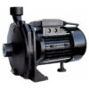 Bomba Electrobomba Centrífuga 750W 150 l/min BC97 BTA 191269
